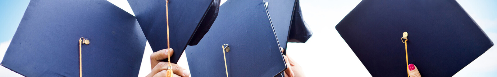 Diplôme d'université